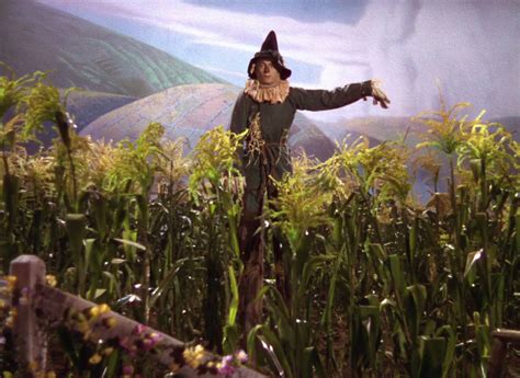 The Wizard of Oz (1939) - Movie Screencaps.com | Scarecrow wizard of oz ...