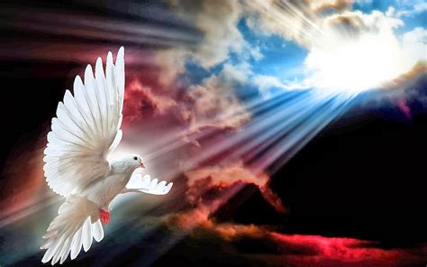 Holy Spirit, spirit, dove, god, light, HD wallpaper | Peakpx