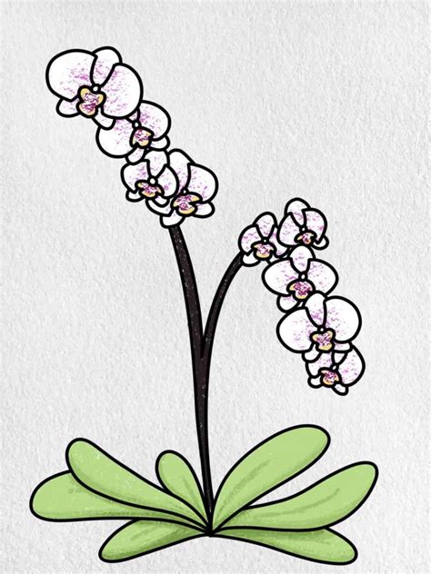 Easy to Draw Flowers - HelloArtsy