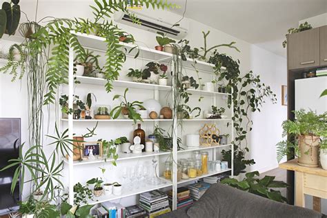 How to Display Houseplants: 100 of Our Favorite Plant-Display Ideas ...