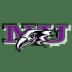 Buy Niagara Purple Eagles Hockey Tickets, Prices, Game Dates & NCAA ...