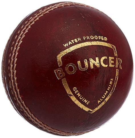 SG Cricket Ball - Latest Price, Dealers & Retailers in India