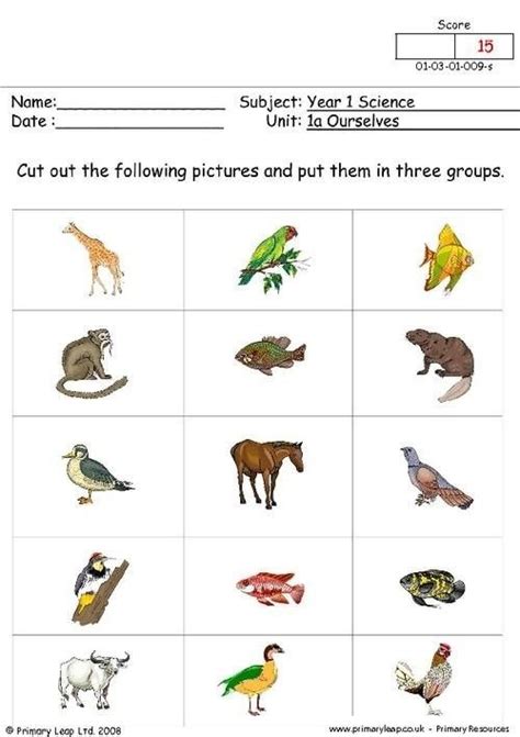 Science Worksheets For Grade 1 Animals - Worksheets Master