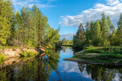 Río Taiga Stock de Foto gratis - Public Domain Pictures