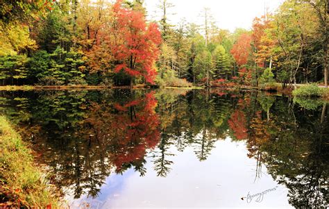 "Fall Reflections" Caledonia State Park, Pennsylvania - a photo on Flickriver