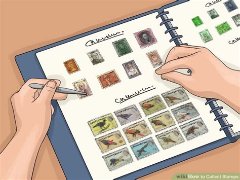 How to Collect Stamps (with Pictures) - wikiHow | Stamp collecting, Stamp, Cat stamp