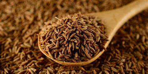 Fennel Seeds Vs Cumin Seeds - A Brief Analysis | Kisan Agro