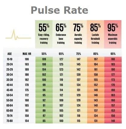 Management solutions insurance: Pulse rate for seniors