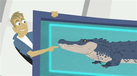 Crocodilians | Wild Kratts | PBS LearningMedia