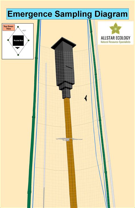 Bat Habitat Assessment Model | Rocket Boxes | AllStar Ecology