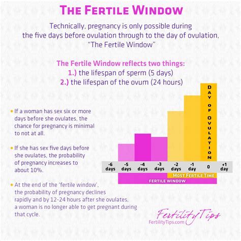 Pin on Fertility Tracking