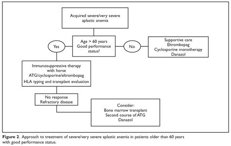 Aplastic Anemia: Current Treatment | MDedge Hematology and Oncology