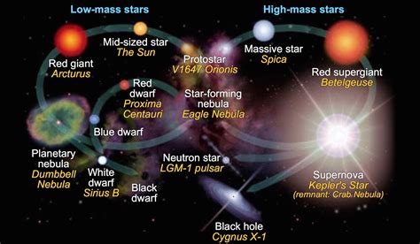 This diagram shows the stellar evolution of low-mass stars (on the left) and high-mass stars (on ...