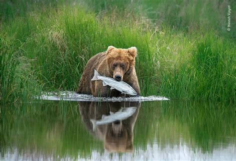 First Look: Wildlife Photographer of the Year 56 | Natural History Museum