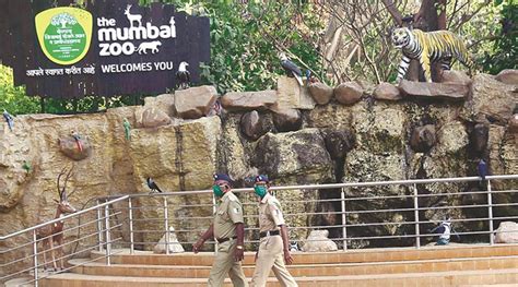 BMC to expand Byculla Zoo by 10 Acres for new animals