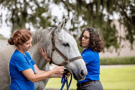 Doctors & Staff » Large Animal Hospital » College of Veterinary ...