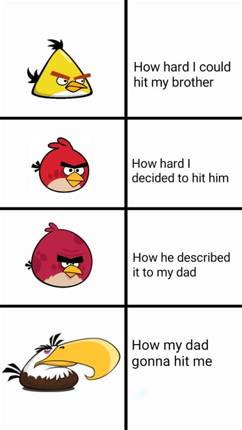 Angry Birds meme , anyone ? : meme