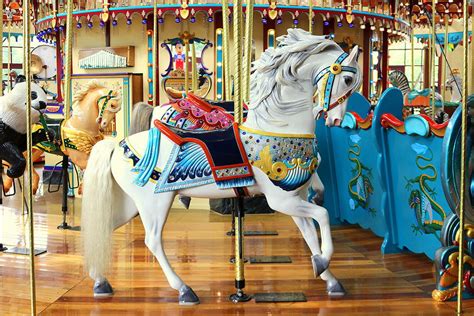 White Carousel Horse Photograph by Anita Hiltz - Pixels