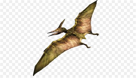 Pterodactyl Png ,HD PNG . (+) Pictures - vhv.rs