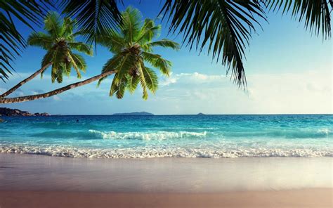 Free Tropical Beaches Desktop Wallpaper Tropical Beach Wallpaper Desktop Backgrounds Wallpapers ...