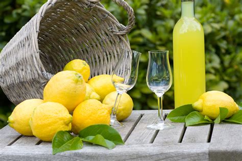 Lemon Sorrento tour -Visit a farm | Hotel del Corso Sorrento