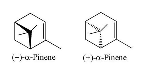 Alpha Pinene - Alchetron, The Free Social Encyclopedia