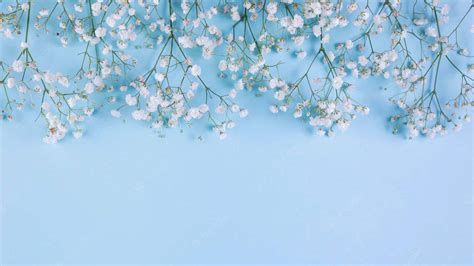 [100+] Aesthetic Light Blue Wallpapers | Wallpapers.com