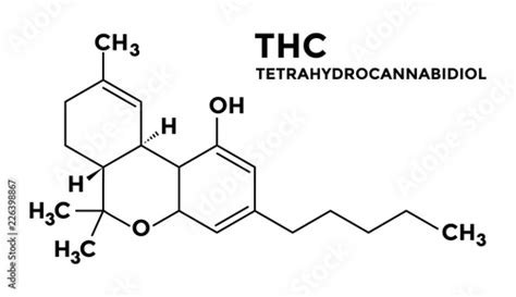 "Tetrahydrocannabinol - THC - structural formula" Stock image and royalty-free vector files on ...