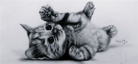 panda and kitten - Google Search | Kitten drawing, Images of cute cats, Cat drawing