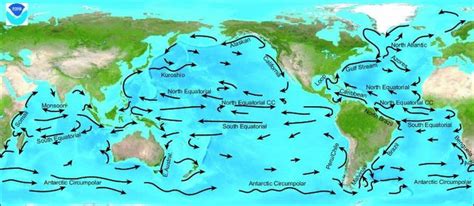 CONSEQUENCES OF CLIMATE CHANGE — ON ANIMALS, PLANTS, FARMS AND OCEAN ...