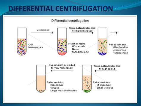 Centrifugation