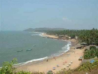 Visakhapatnam beaches lack greenery | Visakhapatnam News - Times of India