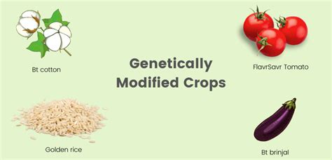 Genetically Modified Crops - The Science Bistro