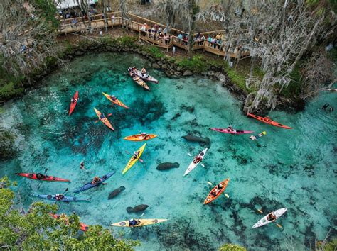 Three Sisters Spring (Crystal River, FL) | Places to travel, Places to visit, Three sisters ...