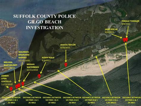 Gilgo Beach Serial Murders: Suspect Reportedly Nabbed In Case Involving 10 Victims | Nassau ...