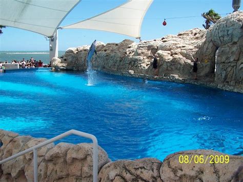 Corpus Christi Aquarium Hours