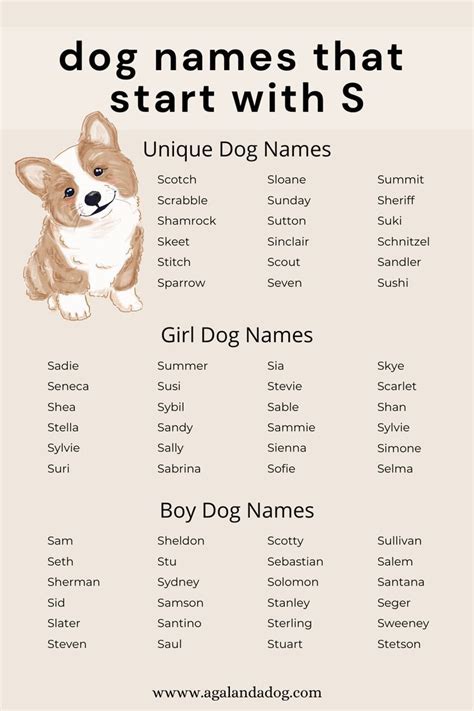 List of dog names that start with S. Cute Adopt Me Pet Names, Pet Names For Dogs, Dogs Names ...