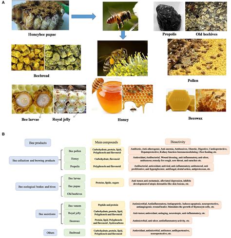 Frontiers | Processing Technologies for Bee Products: An Overview of ...