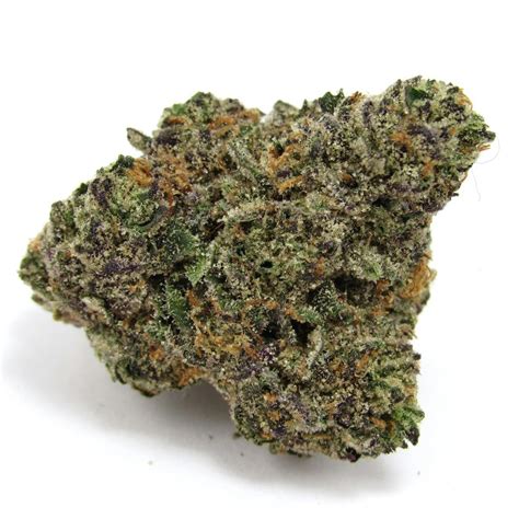 Gastro Pop Weed Strain Information | Leafly