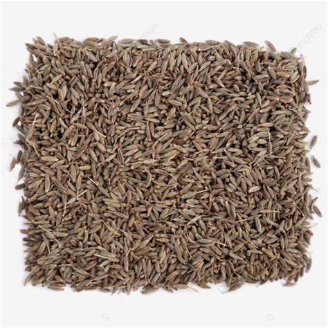 Cumin Seed Hd Transparent, Cumin Seeds And Jeera, Cumin Seeds, Pile, Jeera PNG Image For Free ...