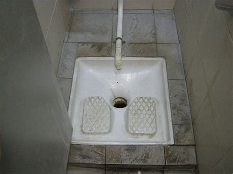 Back to Back Toilets (part deux) - Plumbing Zone - Professional Plumbers Forum