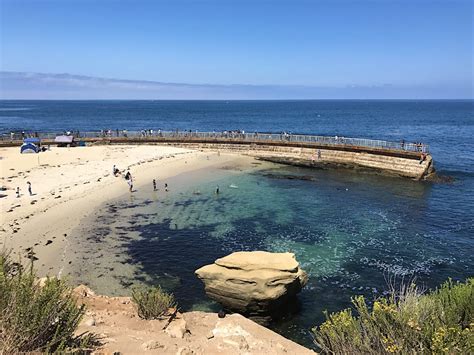 Children's Pool | La Jolla, USA Attractions - Lonely Planet