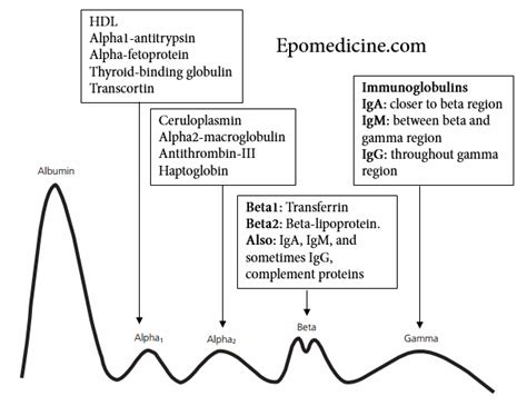 M-spike | Epomedicine