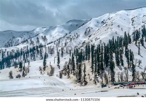 Kashmir Snow Family Photos, Images and Pictures