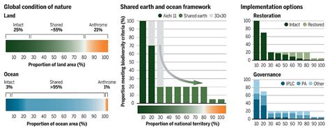 Nature and wealth — rebuilding nature [2/3] | by David Obura | Medium