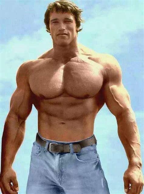 #ripped #motivation #abs #shredded #chest #bodybuilding #veins | Arnold schwarzenegger ...