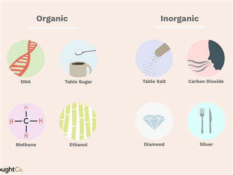 Inorganic compounds in the human body