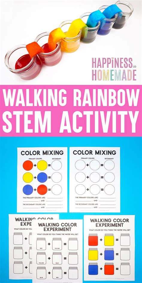 Walking Rainbow STEM Activity + Printables - Happiness is Homemade