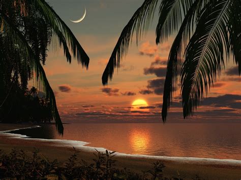 Paradise Sunrise wallpaper | 1280x960 | #31266