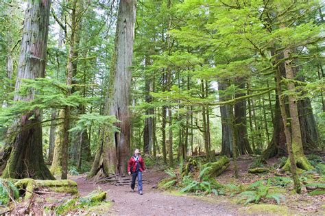 Explore this beautiful Canadian island on a new long-distance trail ...